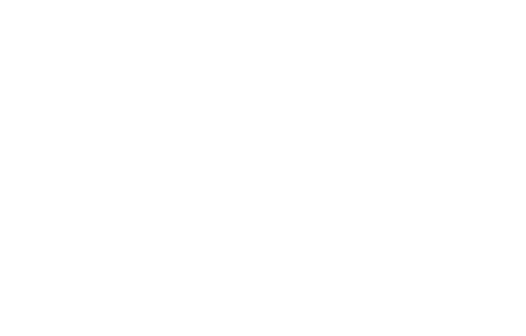 LIT-2025-logo4