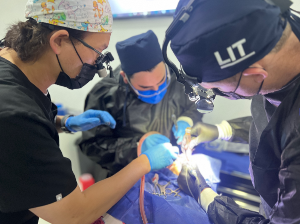 LIT Valparaiso dental course